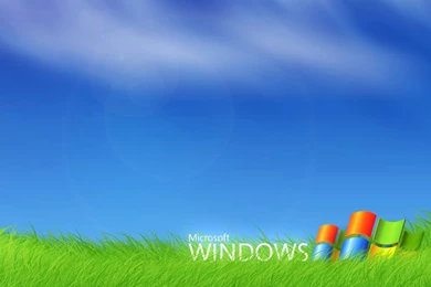 Grass Windows XP Wallpapers   Totalinfo90