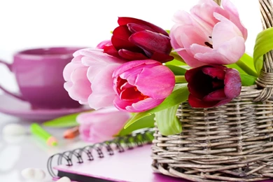 Different Flowers Images And Wallpapers Download