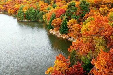 Pictures For Fall   HD Wallpapers And Pictures