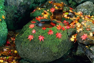 Japanese Autumn Scenery Wallpapers 2 － Landscape Wallpapers   Free ...