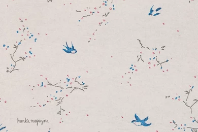 Frankie wallpaper bluebirds.jpg Photo By Itscynical