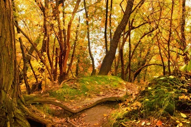 Autumn Landscape Scenery Wallpapers Pictures Photos Images