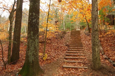 Fall Scenery Wallpapers Desktop