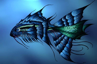 Free Moving Fish Wallpapers For Desktop Free Desk Wallpapers ...