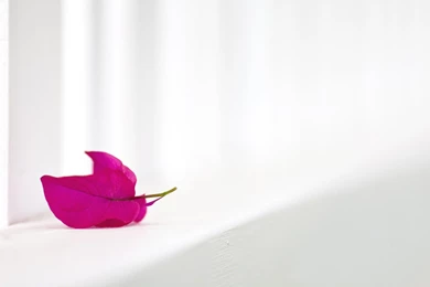 Cool White Backgrounds Tumblr Wallpapers » WallDevil   Best Free HD ...