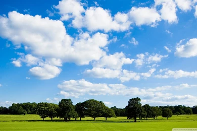 Whitemarsh Behavioral Health Care Blog   Whitemarsh Behavioral ...