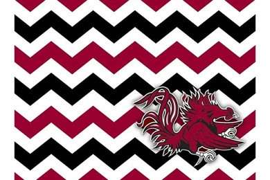 Gamecocks {Biggest Stress inducer Of The Year} On Pinterest ...