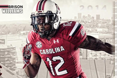 SOUTH CAROLINA GAMECOCKS College Football Wallpapers