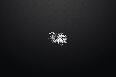 Gamecocks Wallpapers   Wallpapers Zone
