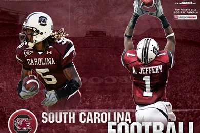 Life Of A Gamecock Fan: Gamecock Football Website