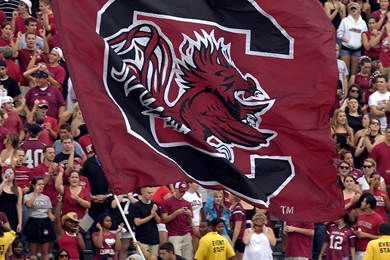 Sweet Gamecock IOS7 Backgrounds