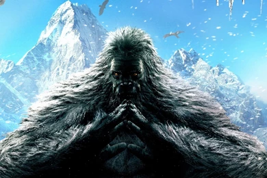 Gorilla Wallpapers >> Backgrounds With Quality HD