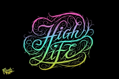 Too Much Dre, Too Much Snoop — Friends Of Type