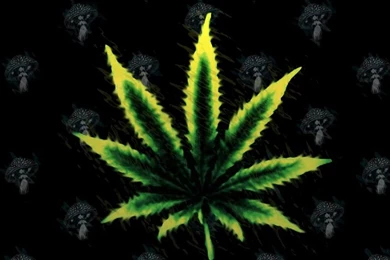 420 Weed Wallpapers