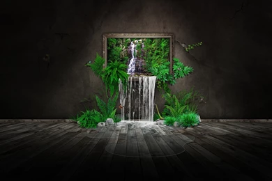 Discovery Life Wallpapers