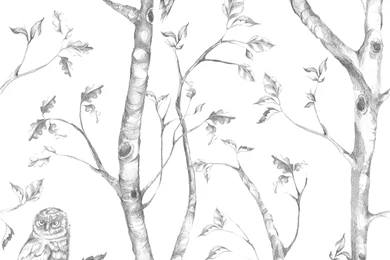 WallPops! Gray Woods Peel And Stick Wallpapers & Reviews