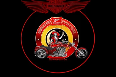 Miller High Life Art   ID: 55065