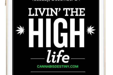 5 Free iPhone Marijuana Backgrounds   Cannabis Destiny