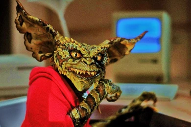 Image   Gremlins 2 wallpapers 53441 7176.jpg   Gremlins Wiki   Wikia