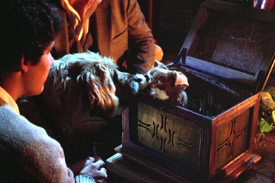 Top Gremlins And 2 The Wallpapers