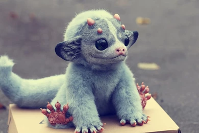 Gremlin Wallpapers For Widescreen Desktop PC 1920x1080 Full HD