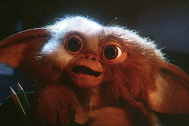 Review: Gremlins   Candid Magazine