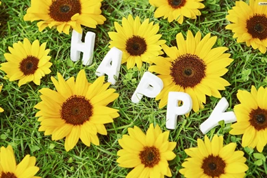 Happy Wallpapers   Wallpapers Cave