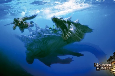 Monster Hunter Computer Wallpapers, Desktop Backgrounds ...