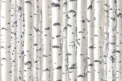 Fine Decor Wallpapers