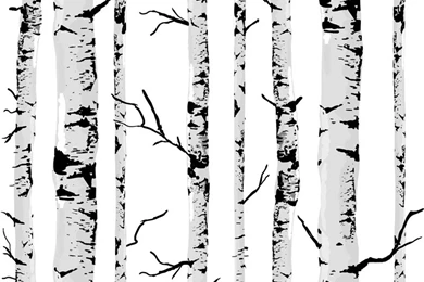 Compare Prices On Birch Tree Wallpaper  Online Shopping/Buy Low ...