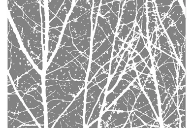 Tree Wallpaper, Tree Decal, Birch Tree Wallpapers