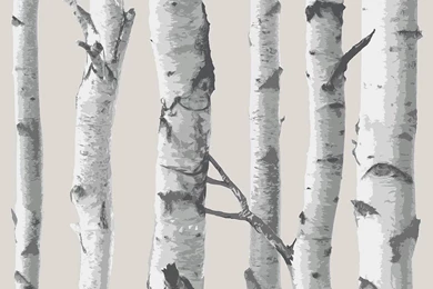 WallPops® NuWallpapers Birch Tree Peel And Stick Wallpapers