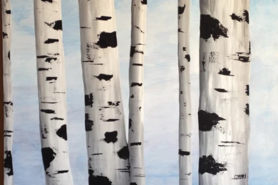 Birch Tree Wallpapers Ideas : How To Paint Birch Tree Wallpapers ...
