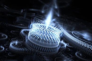 Cool HD & 3D Wallpapers