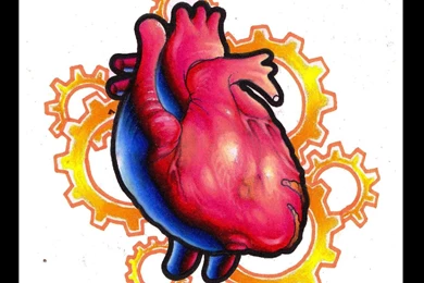 Human Heart Pictures Images Cliparts.co