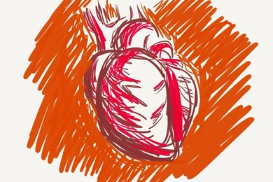 Human Heart By Blueberrybananas06 On DeviantArt