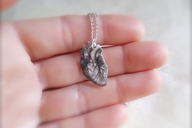 Wallpapers Human Heart Hd 1024x768