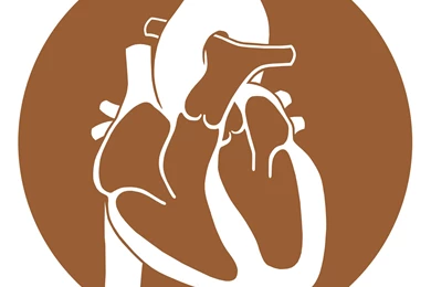 Human Heart Tattoo Design By Metamodernism On DeviantArt