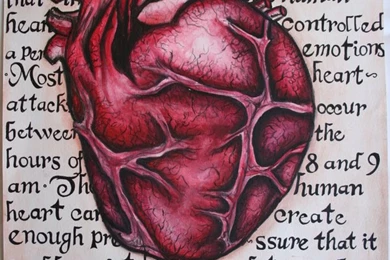 Human Heart By Ylem 03 On DeviantArt