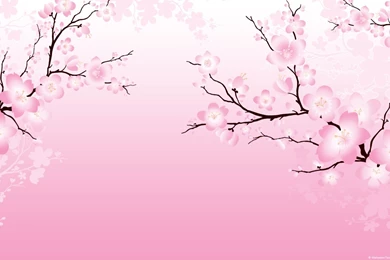 Cherry Blossom Wallpapers Collection (32+)