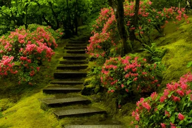 Windows 7 Kids Desktop Wallpapers