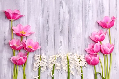 Flowers: Spring Flowers Hyacinth Wood Tulips Shutterstock Free ...