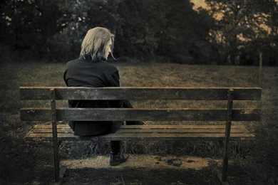 Download Wallpapers 1920x1080 Steven Wilson, Bench, Grass, Man ...