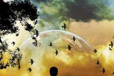 Free Wallpapers For Cell Phone   Wallpapers For Mobile