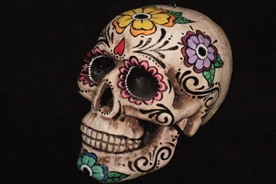 Colin Fichtner: Day Of The Dead High Quality Wallpapers