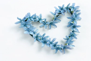 Love Free Backgrounds Wallpapers   HD Images New