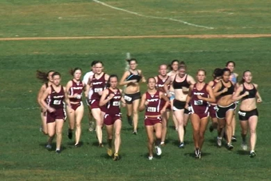 MIT Alumni Cross Country Meet Pictures