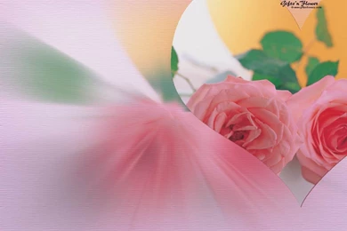 Free Desktop Wallpapers Spring Flowers