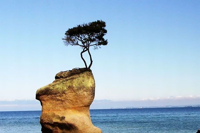 Nature Wallpapers Reddit