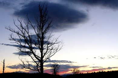 Movies Wallpapers — Free Full HD Wallpaper. Widescreen HQ Desktop ...